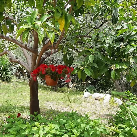 Belvedere Taormina Holiday home *